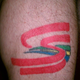 Illustration for article titled All the cool kids are getting Senna tattoos